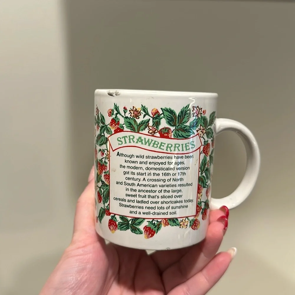 🍓 Vintage Strawberries Planter Mug
